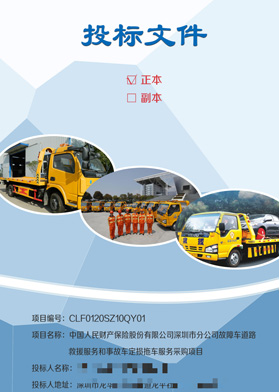 人民財產保險股份服務類標書